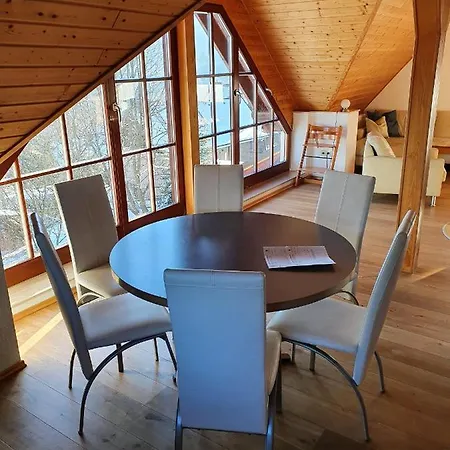 Apartman Ferienhaus-bergtraum-ferienwohnung-lilli Oberwiesenthal