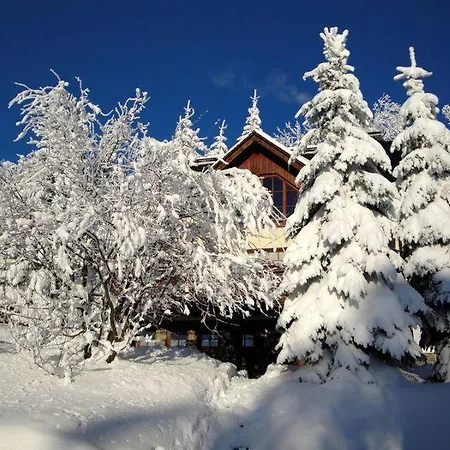 Ferienhaus-bergtraum-ferienwohnung-lilli
