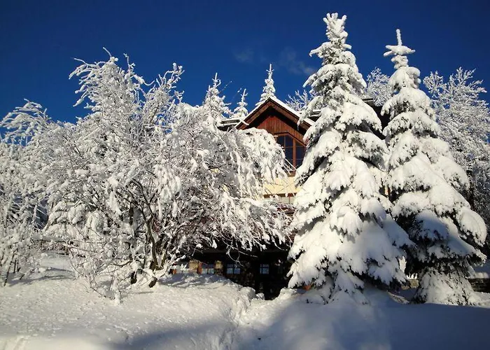 Ferienhaus-bergtraum-ferienwohnung-lilli